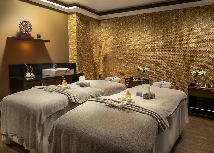 度假村 切什梅丽笙布鲁spa度假酒店 5*