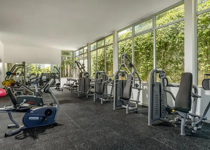 切什梅丽笙布鲁spa度假酒店