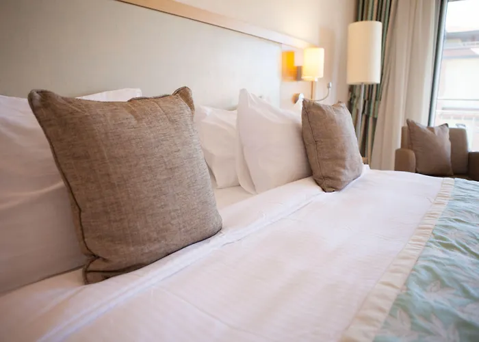 切什梅丽笙布鲁spa度假酒店 度假村 Çeşme