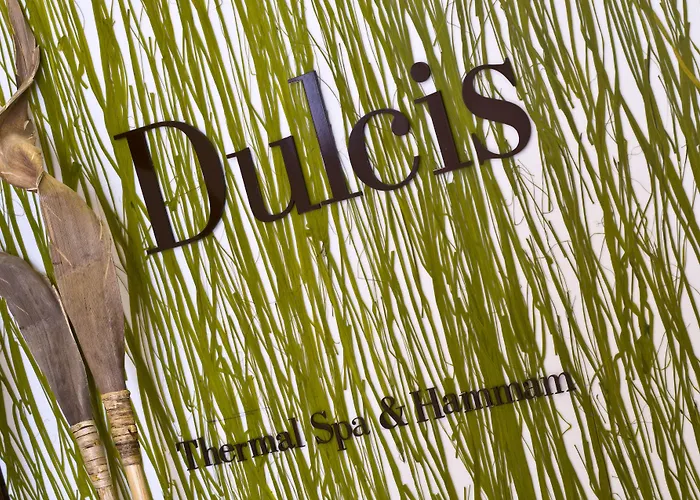 切什梅丽笙布鲁spa度假酒店 度假村 5*